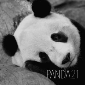 PANDA21 - Various